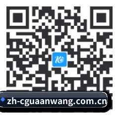安卓极速冲浪端 二维码